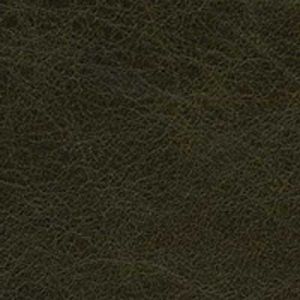 Premium Leather Moss.jpg